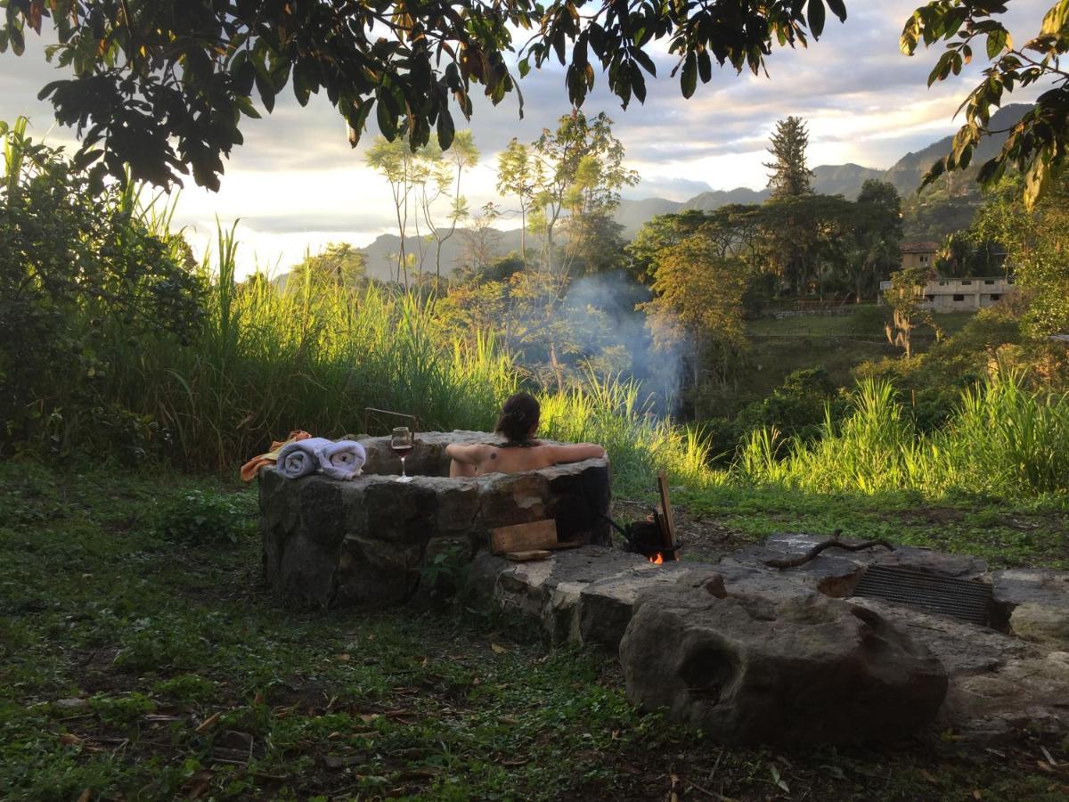 Glamping El Arbol En La Casa Villa San Antonio del Tequendama Eksteriør bilde